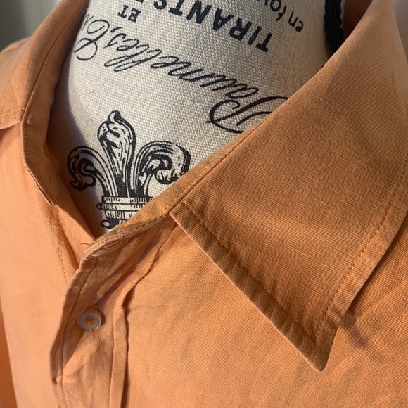 Hilfiger (L) - Picture 8 of 15